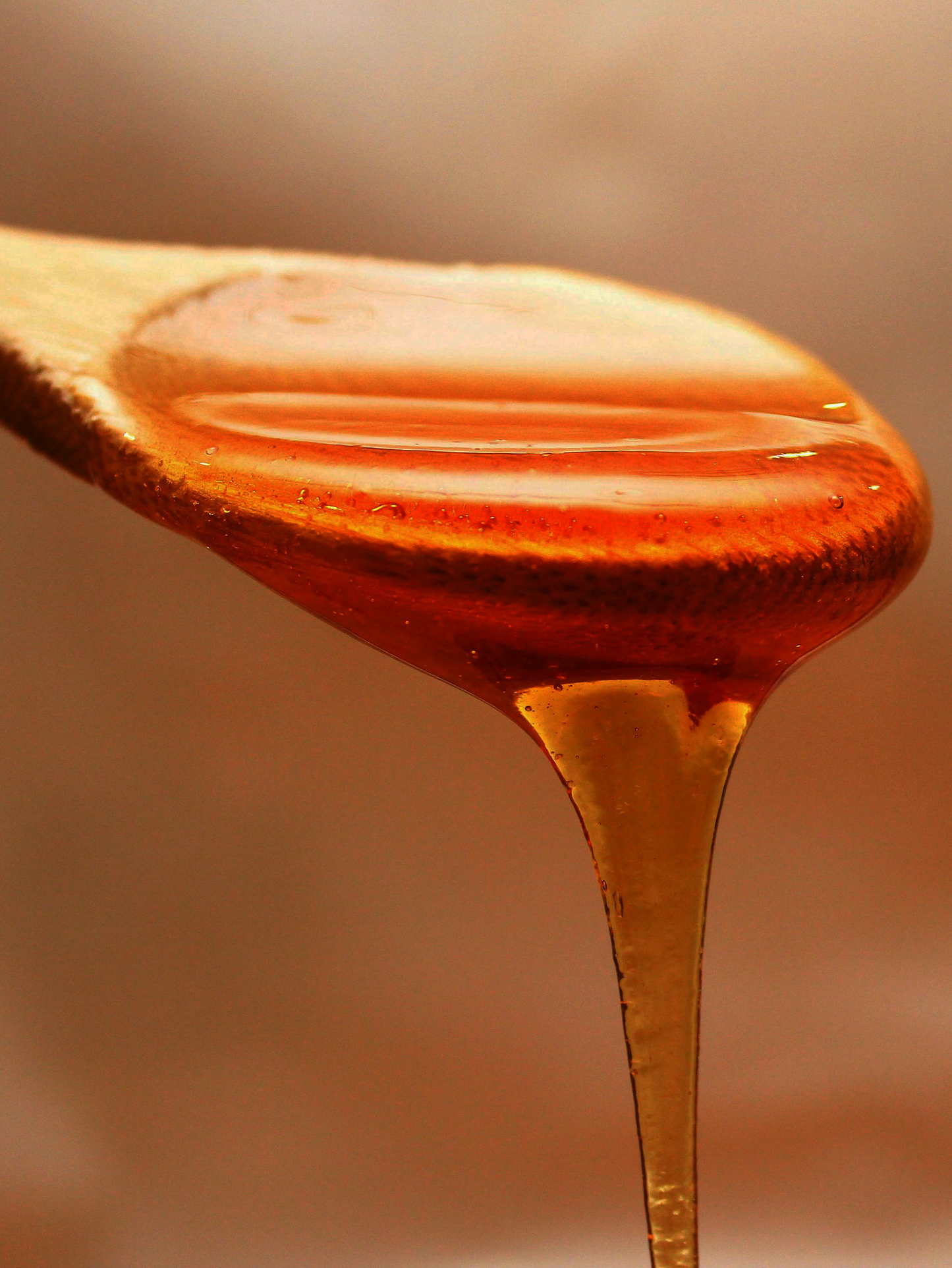 Premium Berry Honey (Choti Makhi) | 100% Pure & Organic
